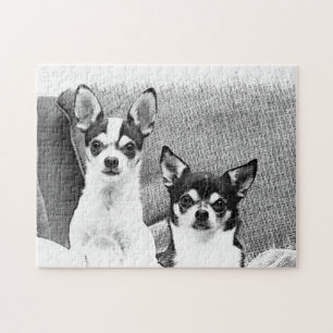 Chihuahuuas