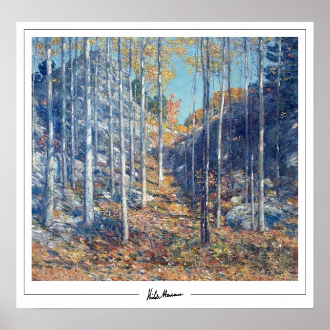 Childe Hassam Zedign Art Poster #359 (Vorne)