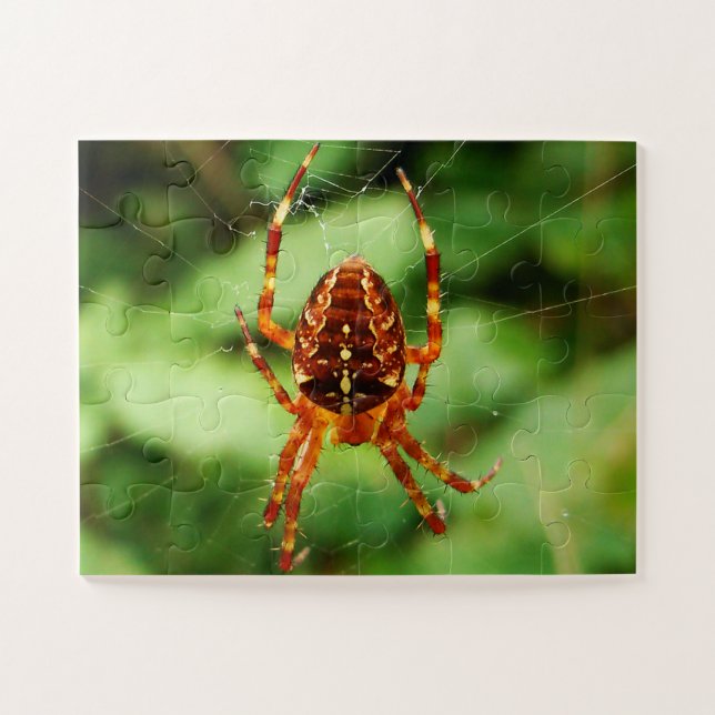 Children’s Spider Puzzle (Horizontal)