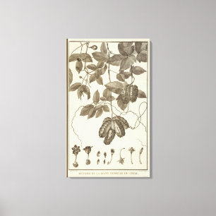 Chile 10 leinwanddruck