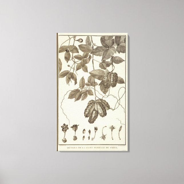 Chile 10 leinwanddruck (Vorderseite)