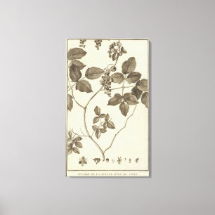 Chile 9 leinwanddruck