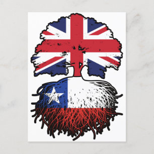 Chile Chillean British UK Tree Roots Flag Postkarte