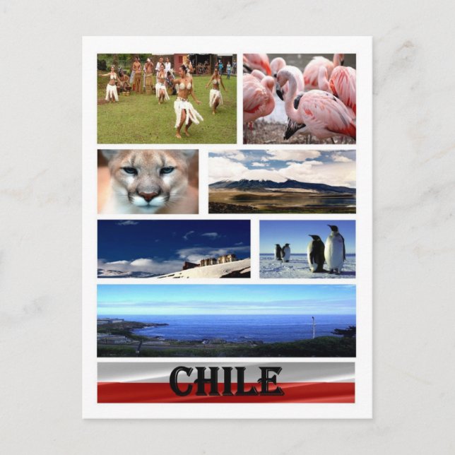 Chile - Mosaik - Postkarte (Vorderseite)