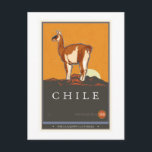 Chile Postkarte<br><div class="desc">Ein buntes Bild,  das den Guanaco im nördlichen Chile darstellt. Gut als gerahmter Ausdruck oder als Leinwand.</div>