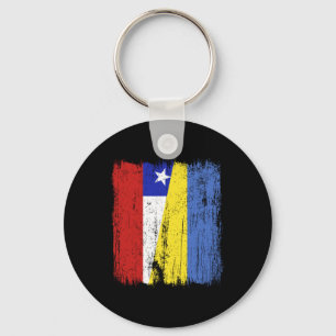 Chile Ukraine Halbflagge Chilenisch Ukrainisches E Schlüsselanhänger