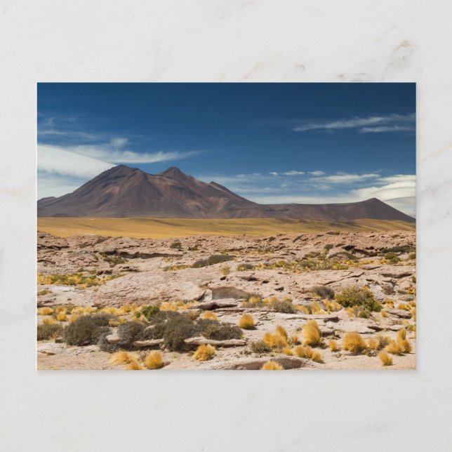 Chile - Vulkan in der Atacama-Wüste Postkarte (Vorderseite)
