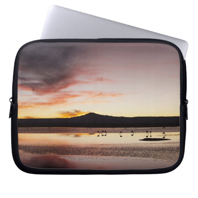 Chilean Flamingo Laptopschutzhülle (Vorderseite)