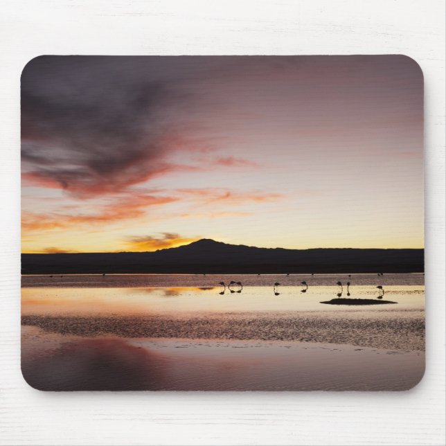 Chilean Flamingo Mousepad (Vorne)