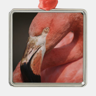 Chilenische Flamingo, Phoenicopterus chilensis Ornament Aus Metall