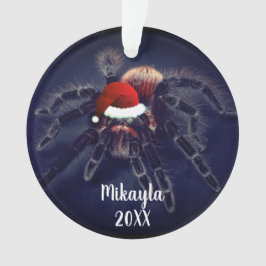Chilenische Rose Haar Tarantula in Weihnachtsmann Ornament