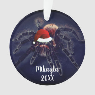 Chilenische Rose Haar Tarantula in Weihnachtsmann Ornament