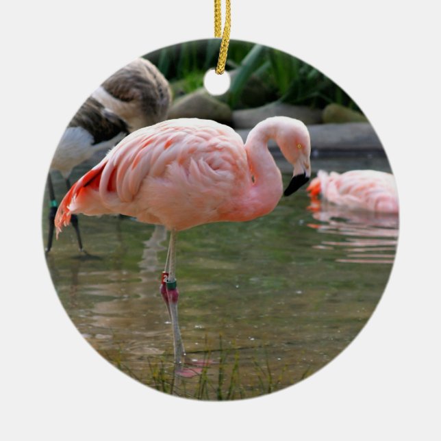 Chilenischer Flamingo Keramikornament (Vorne)