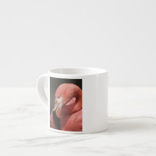 Chilenischer Flamingo, Phoenicopterus chilensis Espressotasse
