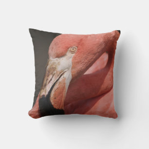 Chilenischer Flamingo, Phoenicopterus chilensis Kissen