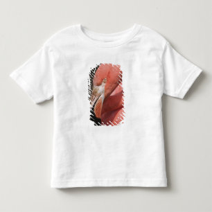 Chilenischer Flamingo, Phoenicopterus chilensis Kleinkind T-shirt