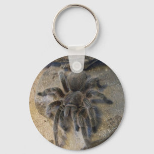 Chilenischer Rosen-HaarTarantula Schlüsselanhänger