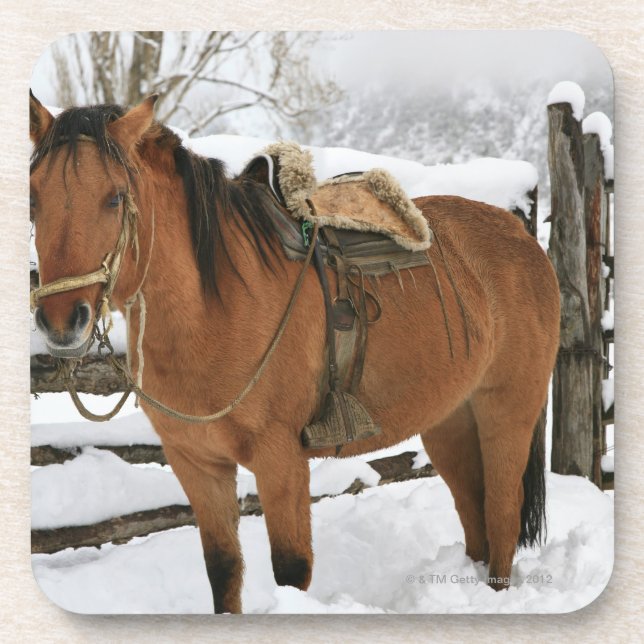 Chilenisches Pferd ausgestattet mit traditionellem Untersetzer (Vorderseite)