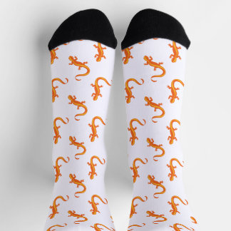 Chileno Valley Newt Brigade Socken