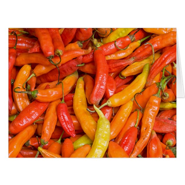Chili (Vorderseite (Horizontal))