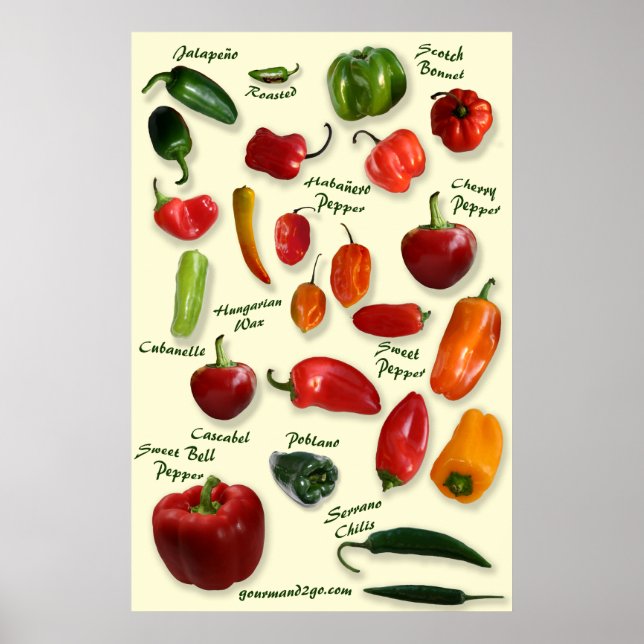 Chili ID Poster (Vorne)