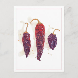 CHILI PAPRIKA Postkarte