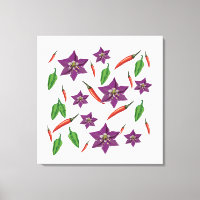 Chili Paprikaschoten Blume Blossom