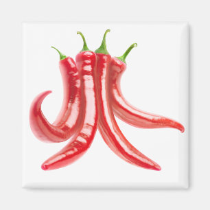 Chili-Paprikaschoten Magnet
