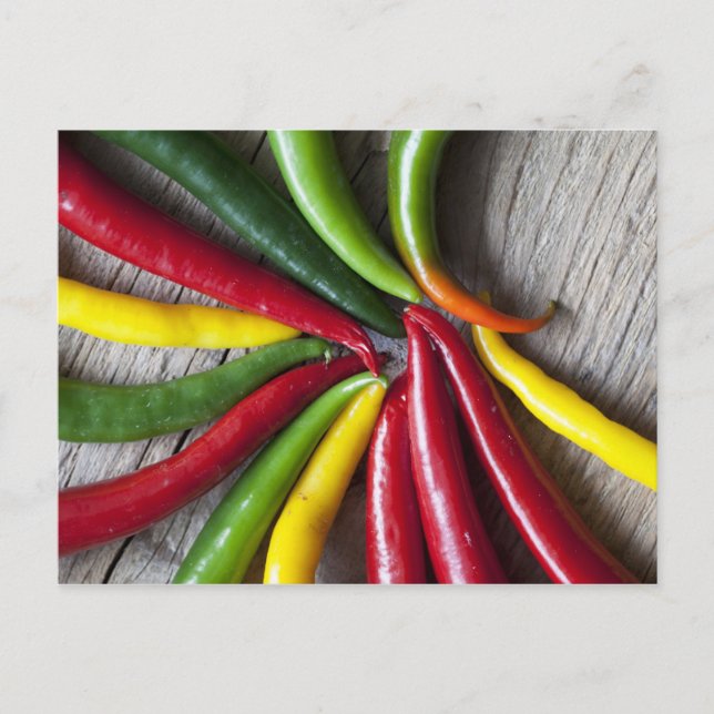 Chili-Paprikaschoten Postkarte (Vorderseite)