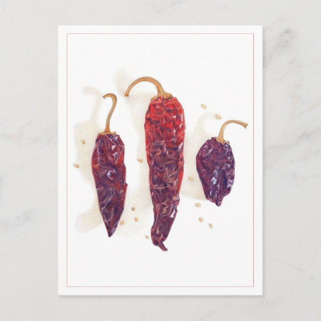 CHILI PAPRIKASCHOTEN Postkarte (Vorderseite)