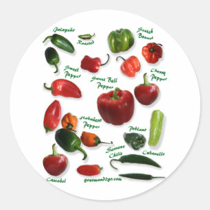 Chili-Vielzahl Runder Aufkleber