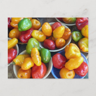 CHILIES POSTKARTE