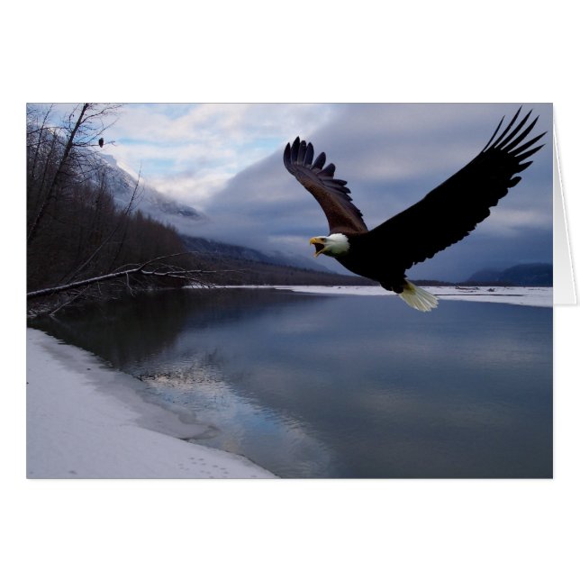 Chilkat Eagle Reserve Card (Vorderseite (Horizontal))