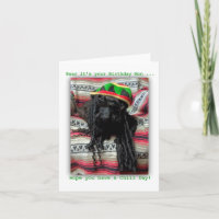 Chill Birthday Card