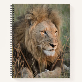 Chill Lion Personalize Name Notizbuch