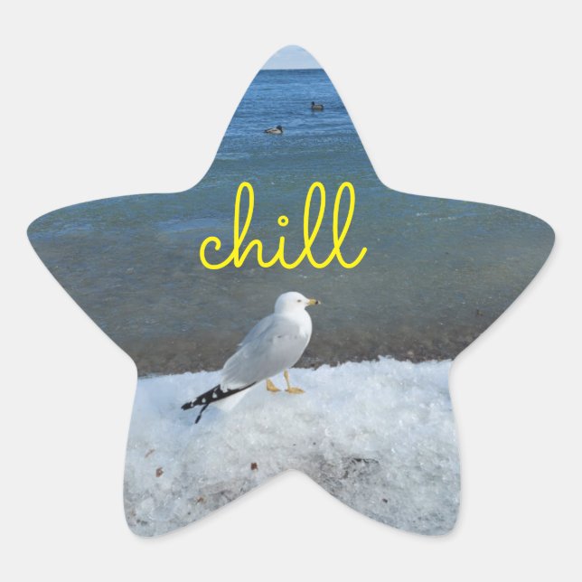 Chill Seagull Relaxaufkleber Stern-Aufkleber (Vorderseite)