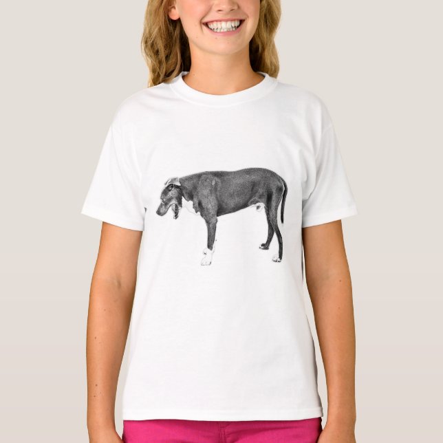 Chill Stride: Bully Mix in Black & White T-Shirt (Vorderseite)