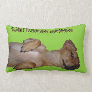 Chillaxin Chiweenie lumbales Wurfs-Kissen Lendenkissen