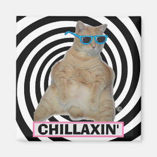 CHILLAXIN" Fette Manx-Katze mit Sonnenbrille Magnet