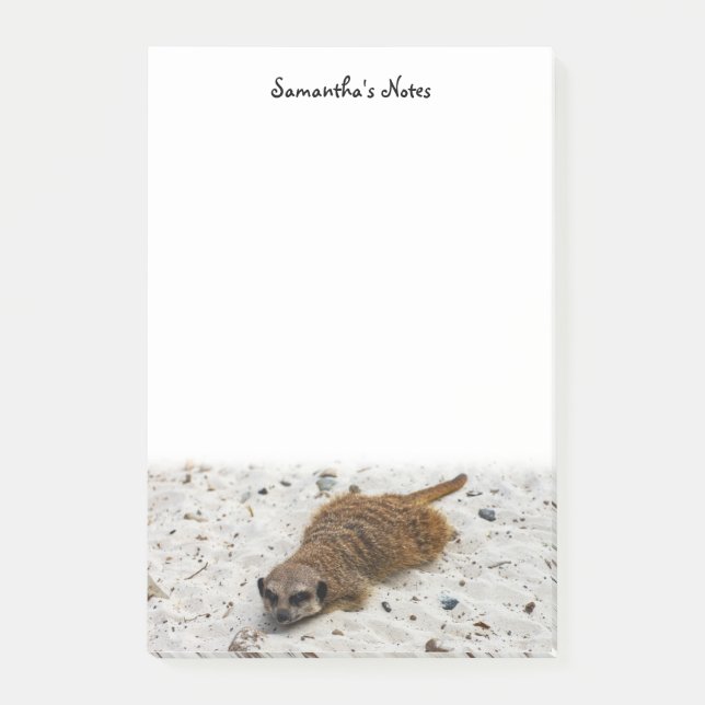 Chillin' Meerkat Post-it Klebezettel (Vorderseite)