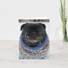 Chillout-Mops-Note-Card - leer Karte