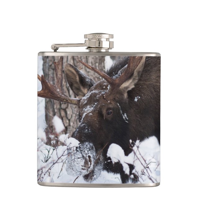 Chilly Moose Flachmann (Vorderseite)