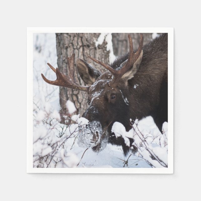 Chilly Moose Serviette (Vorderseite)