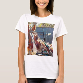 Chilly Morning Amish Horse T-Shirt