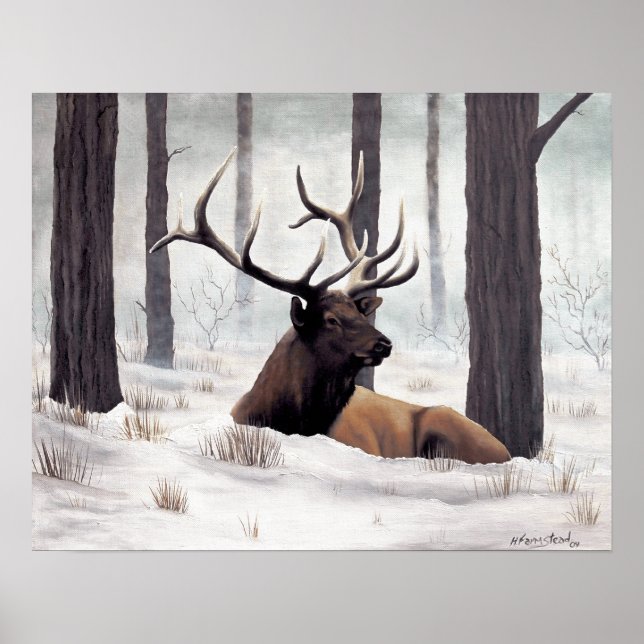 Chilly Poster (Vorne)