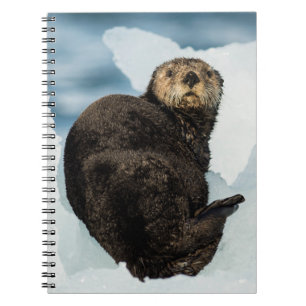 Chilly Sea Otter Notizblock