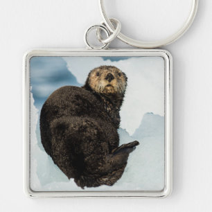 Chilly Sea Otter Schlüsselanhänger