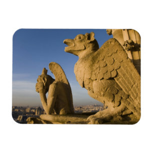 Chimäre an der Fassade der Kathedrale Notre Dame, Magnet