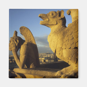 Chimäre, Kathedrale Notre-Dame, Paris, Frankreich Magnet