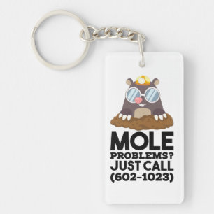 Chimie - Problèmes de mole